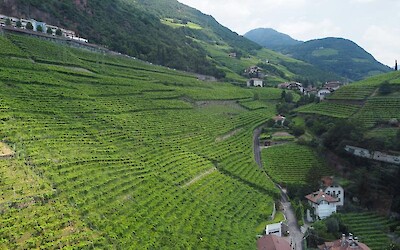 Bolzano's terraced hills (submitted by CyclesInRoswell)
