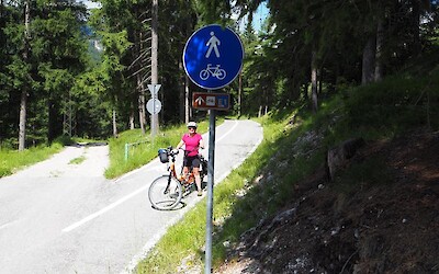 Beautifully marked trail (submitted by CyclesInRoswell)