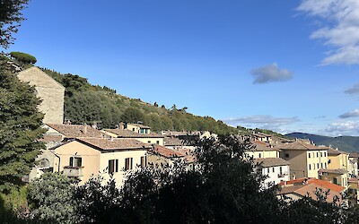 (submitted by Melinda Moore)