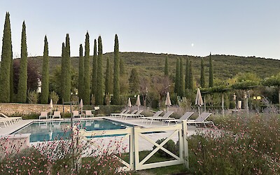 (submitted by Melinda Moore)