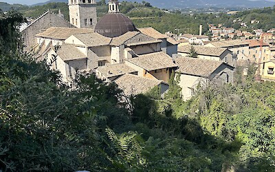 (submitted by Melinda Moore)