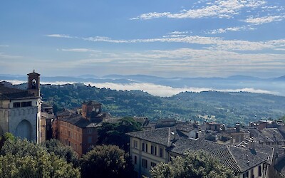 (submitted by Ildiko Mikos)