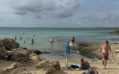 (submitted by Bill Allured)