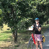 Examining the curious fruit casing of a horse chestnut tree on the route to Saluzzo, IT (photo by Collette)