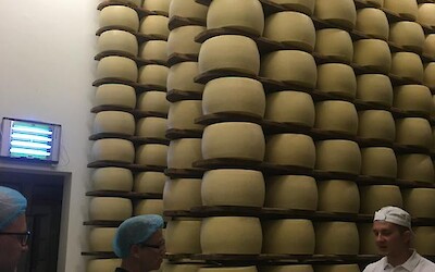 at the Parmesan cheese factory (submitted by TomS)