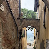 (photo by Claudia Lutke)