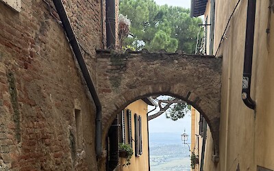 (submitted by Claudia Lutke)