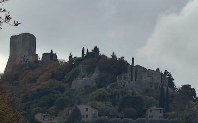 (submitted by Claudia Lutke)