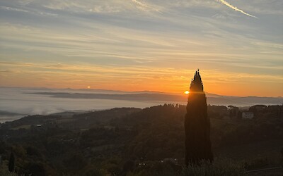 (submitted by Claudia Lutke)