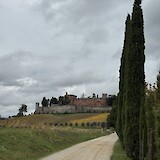 (photo by Claudia Lutke)