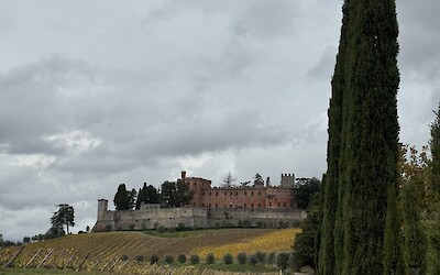 (submitted by Claudia Lutke)