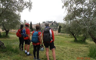 Watching the town of Spello (submitted by ullabulla)