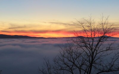 A full fuggy day, till the twilight (submitted by Emlaf)