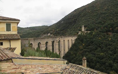 Photo 3 (submitted by Emlaf)