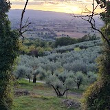Near Assisi (photo by max breedon)
