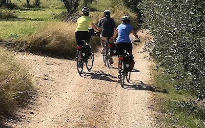 Riding through olive groves (submitted by Bike man)