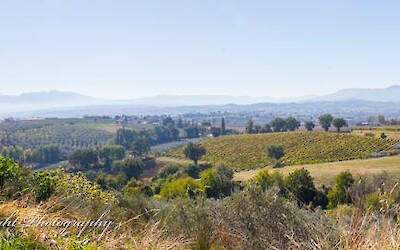 Photo 2 (submitted by KVWright)