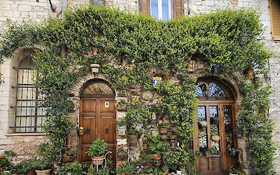 Assissi is magnificent (submitted by Mary-lou Huculak)