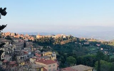 Photo 2 (submitted by KSBowman)