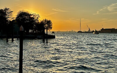 (submitted by Tom Goodman)