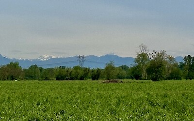 (submitted by Tom Goodman)