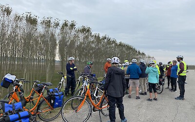 (submitted by Linden)