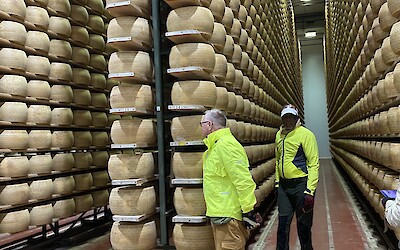 (submitted by Linden)