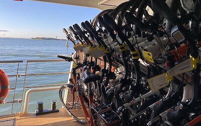 (submitted by Linden)