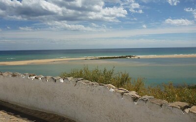 Photo 2 (submitted by PeteN)