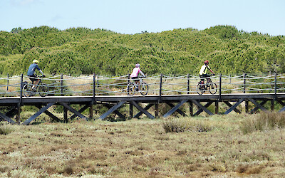 Fun boardwalks to cycle on (submitted by Karen Burnham)