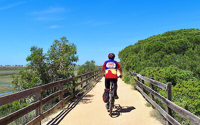 (submitted by Karen Burnham)