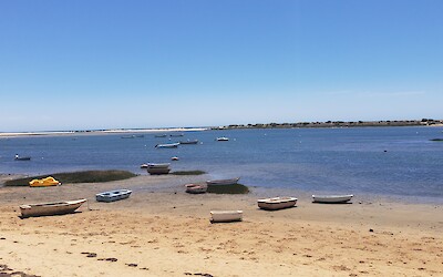 (submitted by Neil Gordon)