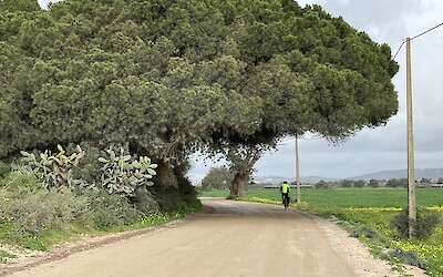 (submitted by Bernice Thill)