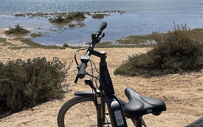 Day 5 (submitted by Betty Ngan)