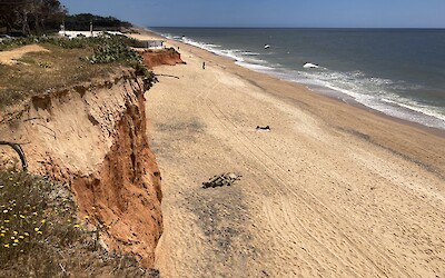 The beautiful coast. (submitted by Robert Anderson)