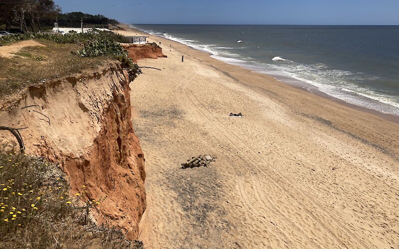 The beautiful coast. (submitted by Robert Anderson)