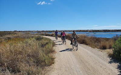 (submitted by Leslie Wiens)