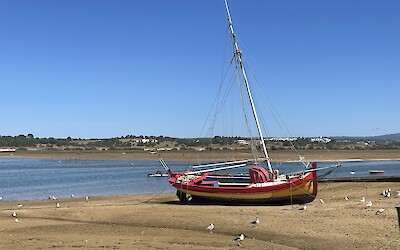 (submitted by Chris M.)