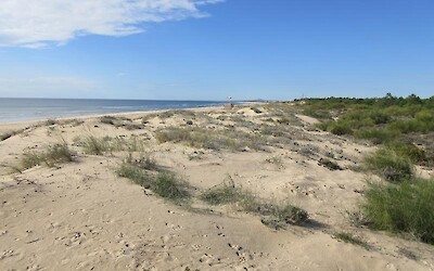 Photo 2 (submitted by NoPensionWillTravel)