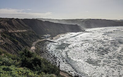 (submitted by Regan Wilder)