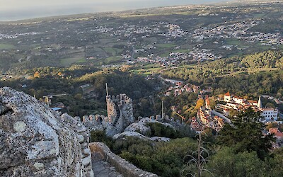 (submitted by Regan Wilder)