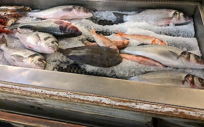 (submitted by Regan Wilder)