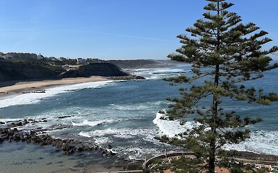 (submitted by Joanne Nordeen)