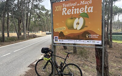 (submitted by Scott Lyon)