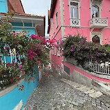 (photo by Scott Lyon)