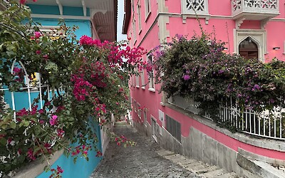 (submitted by Scott Lyon)