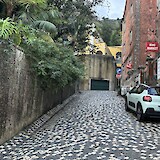 (photo by Scott Lyon)