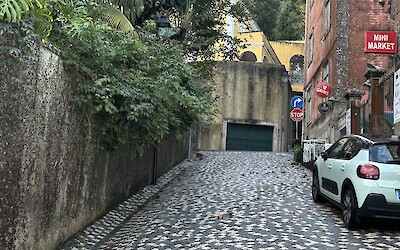 (submitted by Scott Lyon)