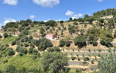 (submitted by Karla Frank)