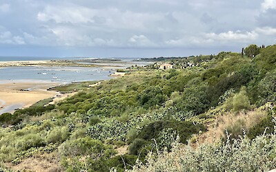 (submitted by Karla Frank)